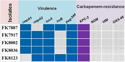 Effects of chlorogenic acid on antimicrobial, antivirulence, and anti-quorum sensing of carbapenem-resistant Klebsiella pneumoniae